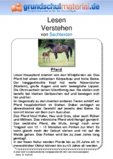 Pferd.pdf